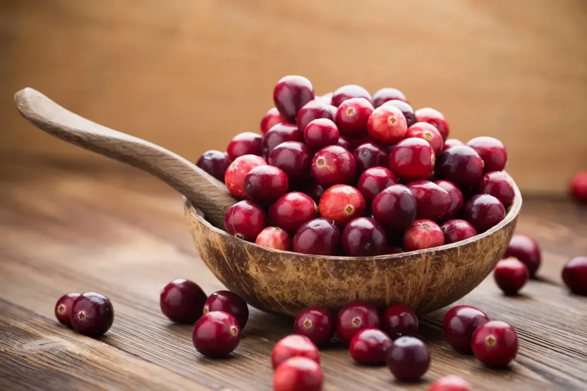 Bienfaits cranberry : le secret performance pour vos matchs