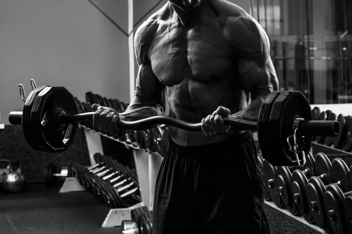 EAA musculation : optimisez votre anabolisme en 2026