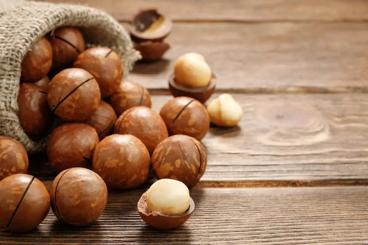 Les bienfaits noix macadamia pour votre performance