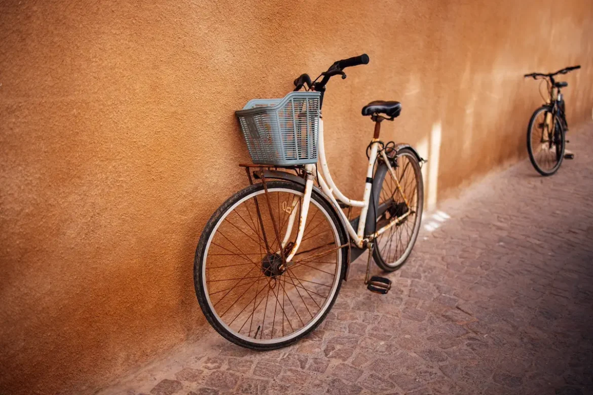 vélo 20 pouces